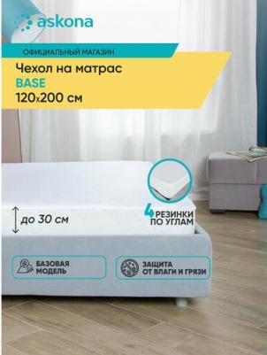 Base – фото 4