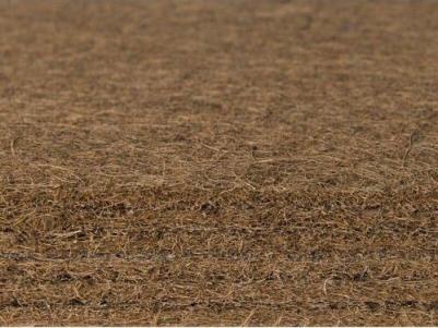 Cocos-Medium Econom S1000