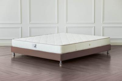 Stella – фото 14