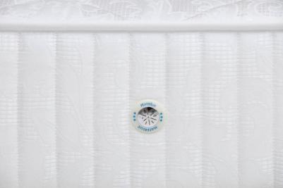 Stella – фото 15