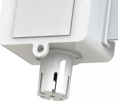 01099 – фото 3