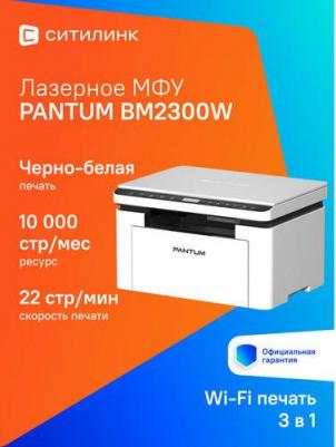 BM2300W – фото 13