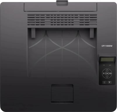CP1100DW – фото 2