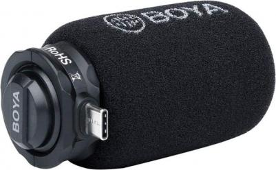 BY-DM100 – фото 11