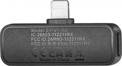 BY-V1 – фото 1