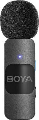 BY-V1 – фото 7