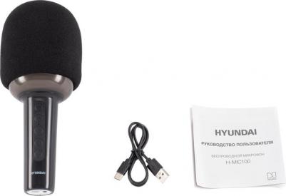 H-MIC100 – фото 6