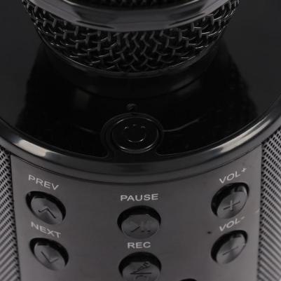 LZZ-56 – фото 3