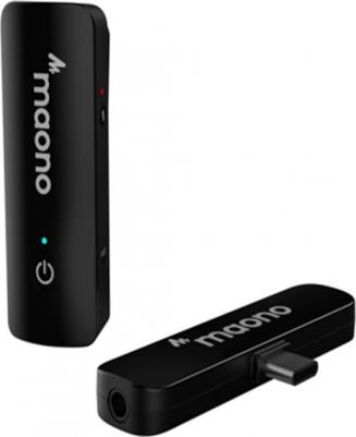 WM600 C1 – фото 2