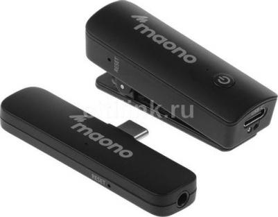 WM600 C1 – фото 7