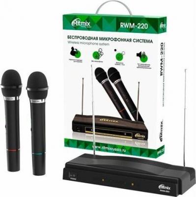 RWM-210 – фото 2