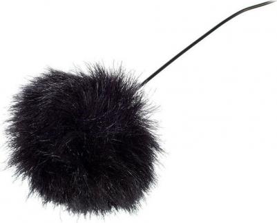 HS2BS – фото 2