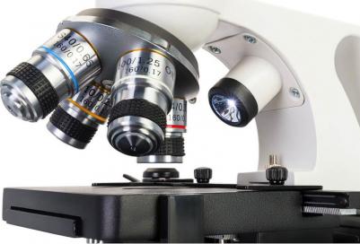 Atto Polar – фото 1