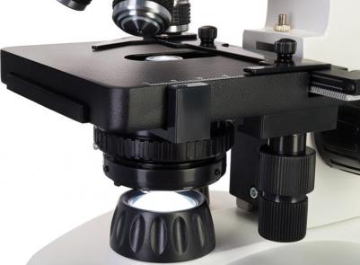 Atto Polar – фото 14