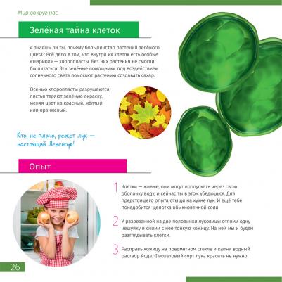 Femto Polar – фото 13