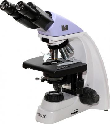 Bio 250BL – фото 5