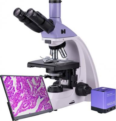 Bio D250TL – фото 8