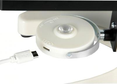 C-12 – фото 19