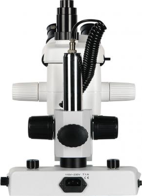 MC-A-0650 Trino – фото 9