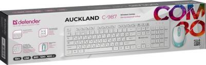 C-987 – фото 2