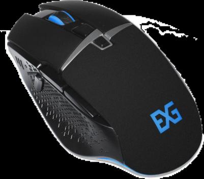 GML-13 – фото 10