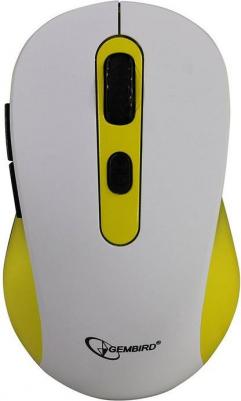MUSW-221-Y