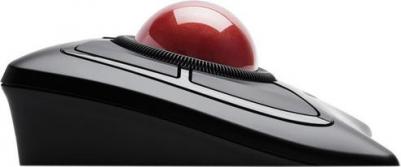 Expert – фото 15