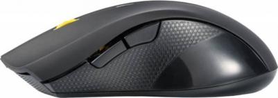 495MW – фото 1