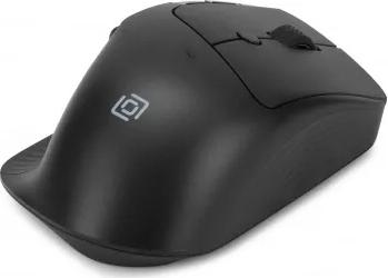 501MW – фото 13