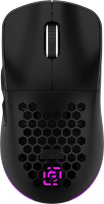 900GMW – фото 2