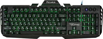 Pegasus K31 – фото 1