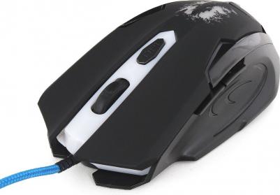 SPIRIT OF WISDOM – фото 10