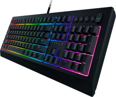 Cynosa V2 – фото 10