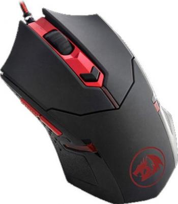 Centrophorus – фото 2