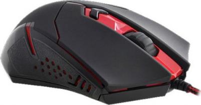 Centrophorus – фото 7