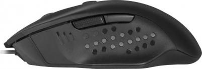 Gainer – фото 3