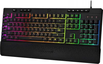 Shiva – фото 11