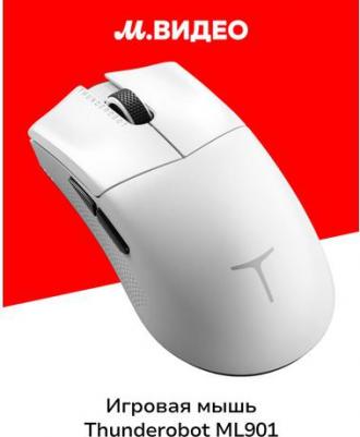 ML901 – фото 4