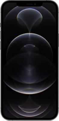 iPhone 12 Pro Max 256Gb, Gold – фото 9