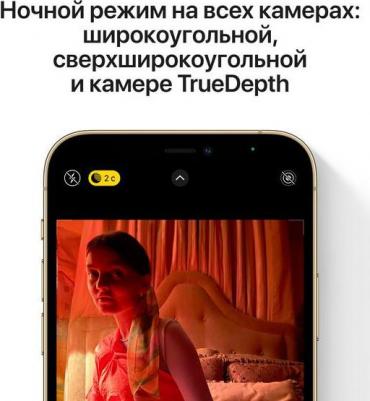 iPhone 12 Pro Max 512Gb, Gold – фото 7