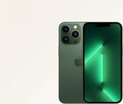 iPhone 13 Pro 256Gb, Alpine Green – фото 11