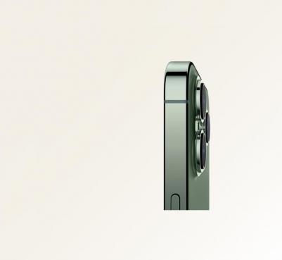 iPhone 13 Pro Max 256Gb, Alpine Green – фото 9