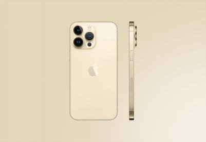 iPhone 14 Pro Max 1Tb, Gold – фото 13