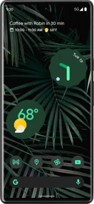 Pixel 6 Pro 12/256Gb, Stormy Black – фото 9