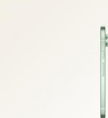 Pixel 9 12/128Gb, Wintergreen – фото 14