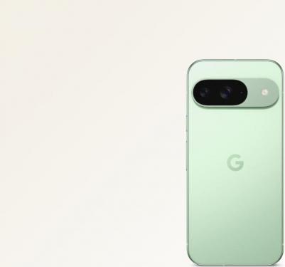 Pixel 9 12/128Gb, Wintergreen – фото 16