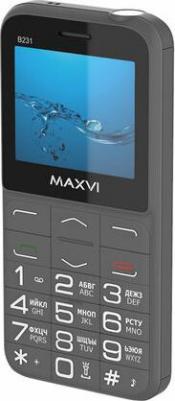 B231, Grey – фото 3