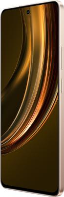 13 Plus 12/256Gb, Victory Gold – фото 5