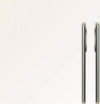 13 Pro plus 8/256Gb, Green – фото 1