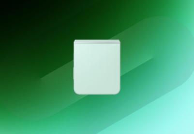 Galaxy Z Flip6 12/512Gb, Mint – фото 16